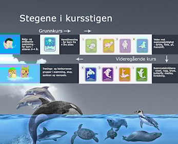Ny svømmekurs for barn og voksne starter tirsdag 6., onsdag 7. og torsdag 8. desember